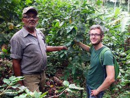 Coffee for Future, 250g, whole beans, organic