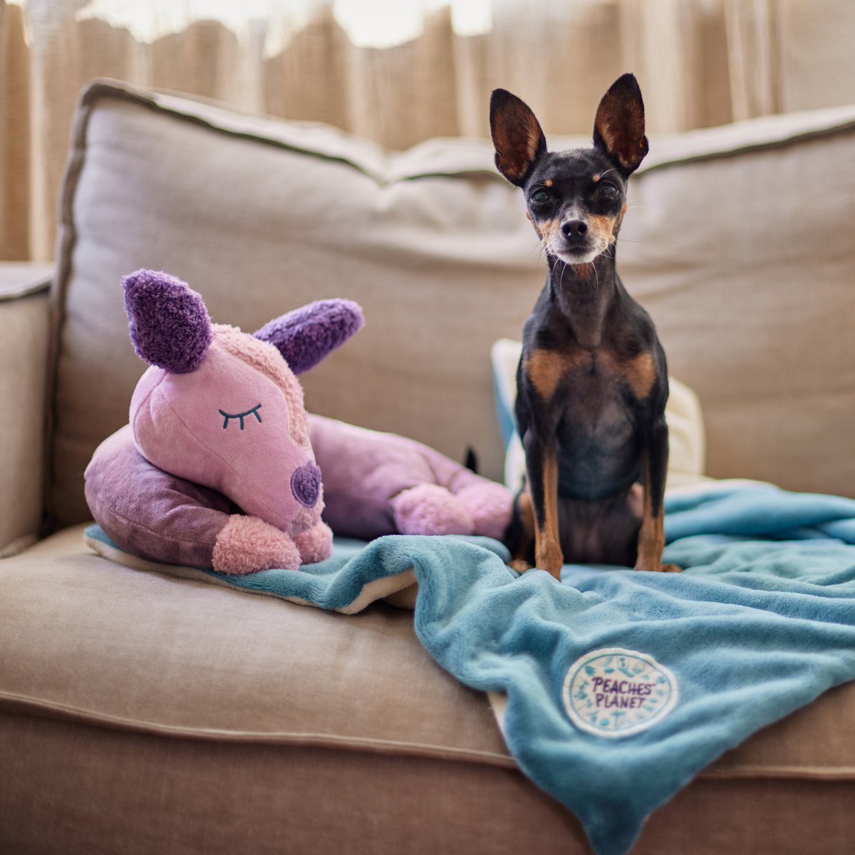 PEACHES' PLANET Sleepy Peaches Purple Dreams Hundespielzeug