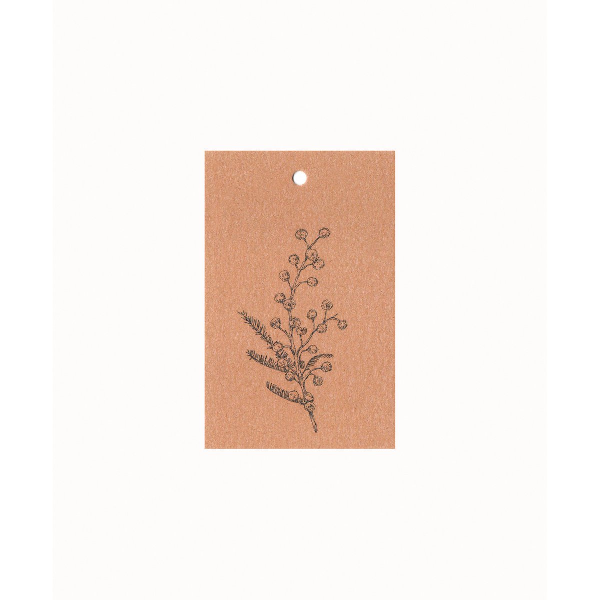 Carta regalo sostenibile fiore mimosa