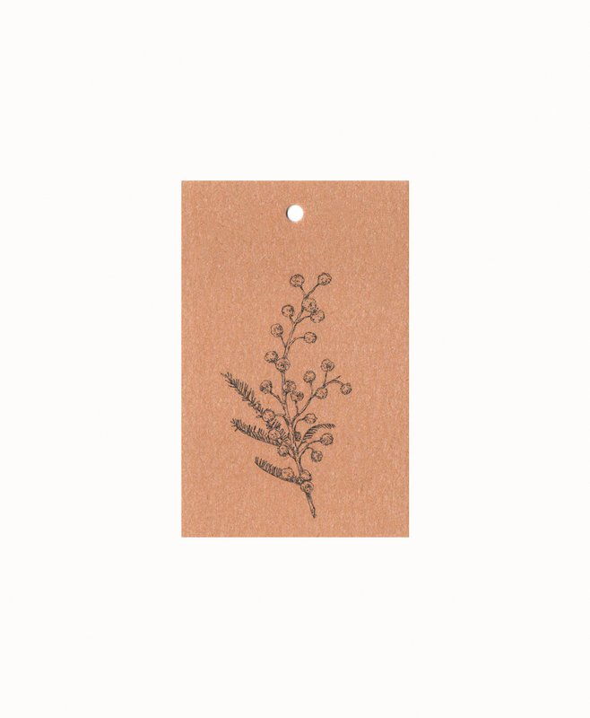 Carta regalo sostenibile fiore mimosa