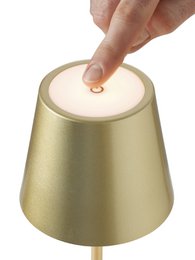 TAFELLAMP ÉÉN GYLDEN