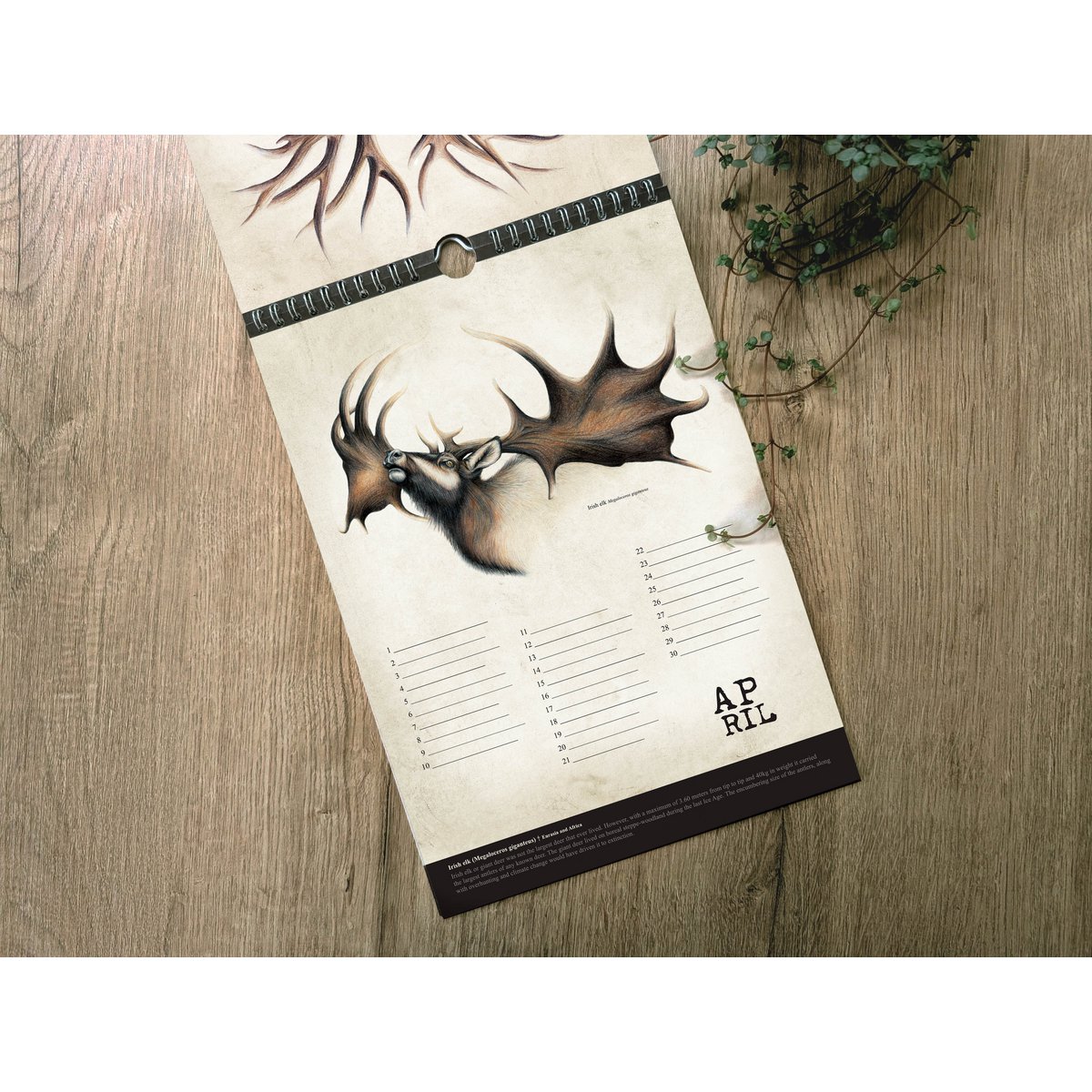 Hirsch-Geburtstagskalender, ewiger Kalender, umweltfreundlich
