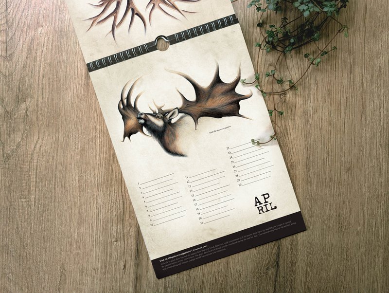 Hirsch-Geburtstagskalender, ewiger Kalender, umweltfreundlich
