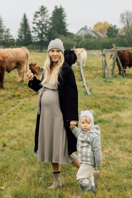 TISU maternity & nursing dress, Pale Taupe
