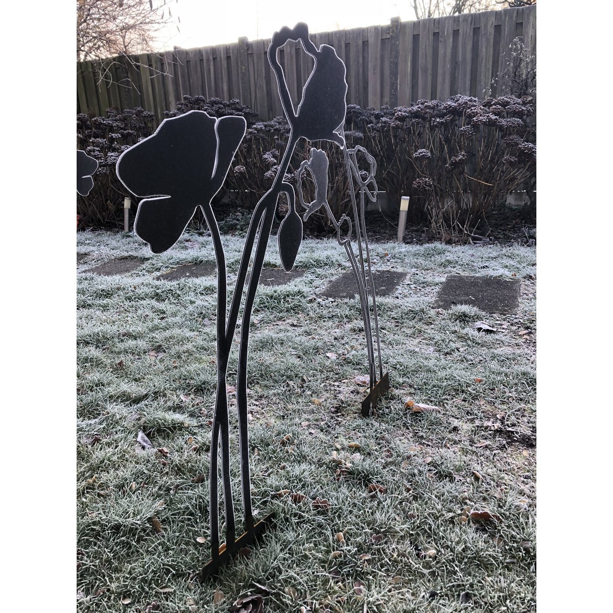 Poppy with flower bud | corten stem