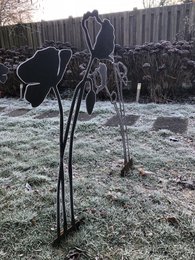 Coquelicot avec bouton floral | tige de corten