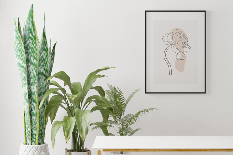 Poster di peonia astratta Boho