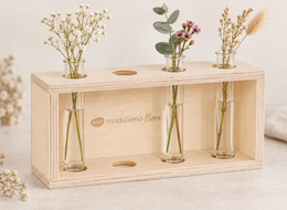Modulumo – Floro – 12 stuks + gratis houten display!