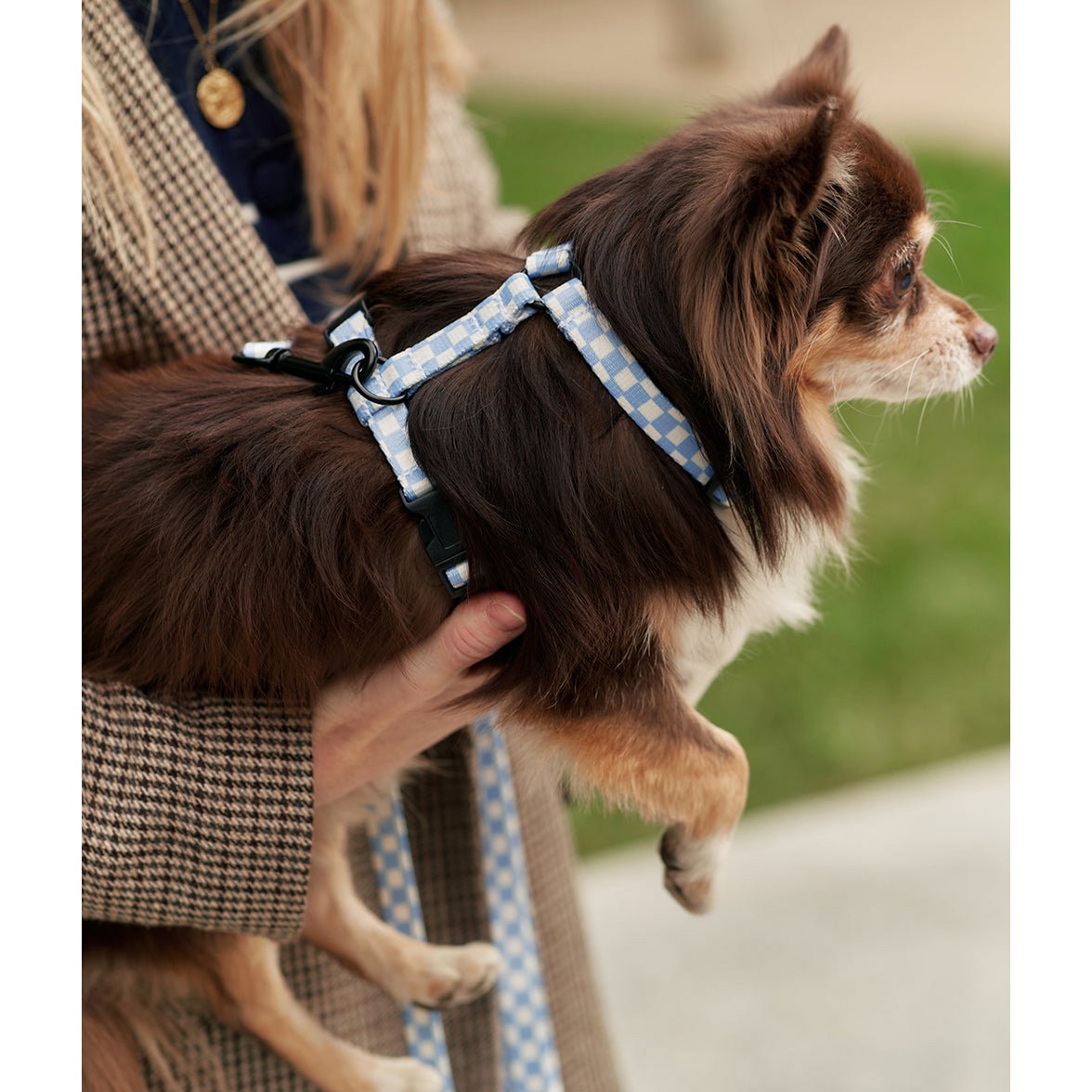 Geschirr aus recyceltem PET, blaues Vichy-Design, Juno