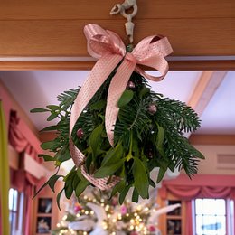 Juleboks mistelten - lyserød (8 pakker med 3 bundter)