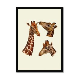 Colorful wall art featuring multiple giraffe heads in various poses and angles. The giraffes have distinctive long necks and spotted patterns typical of the species.