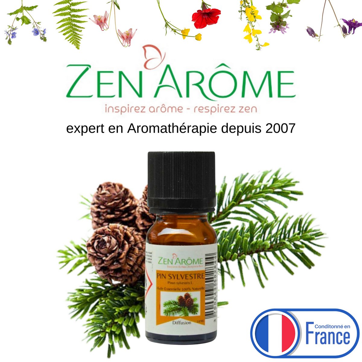 Olio essenziale - Pino silvestre - 10 ml - Uso per diffusione - Confezionato in Francia