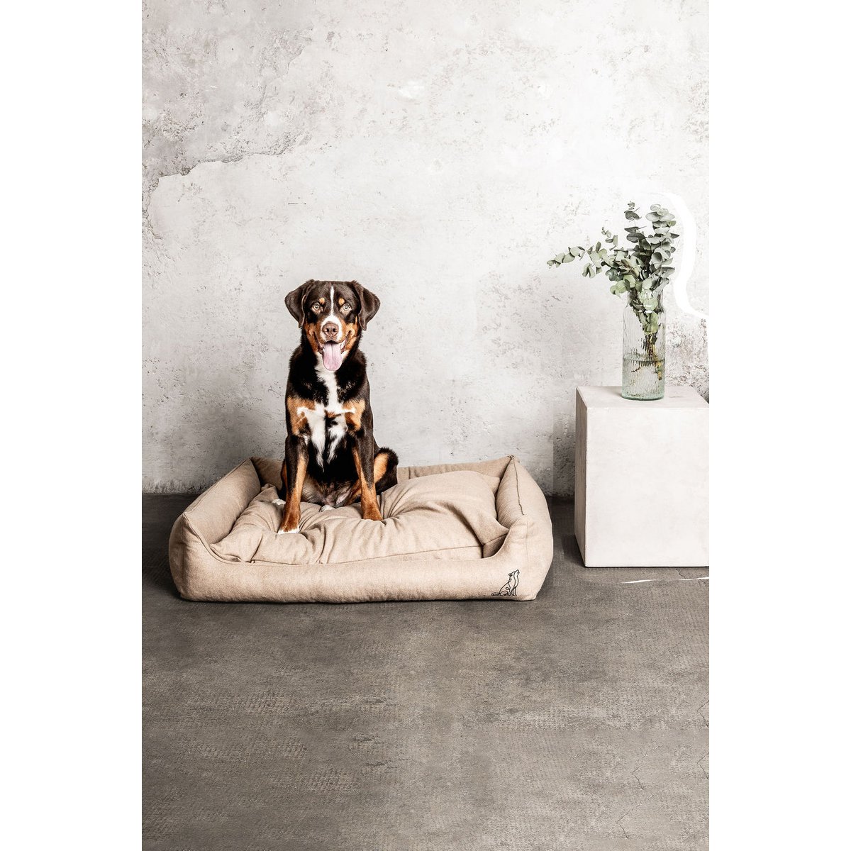 Lit pour chien Belle beige