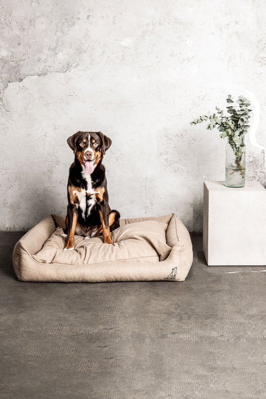 Lit pour chien Belle beige