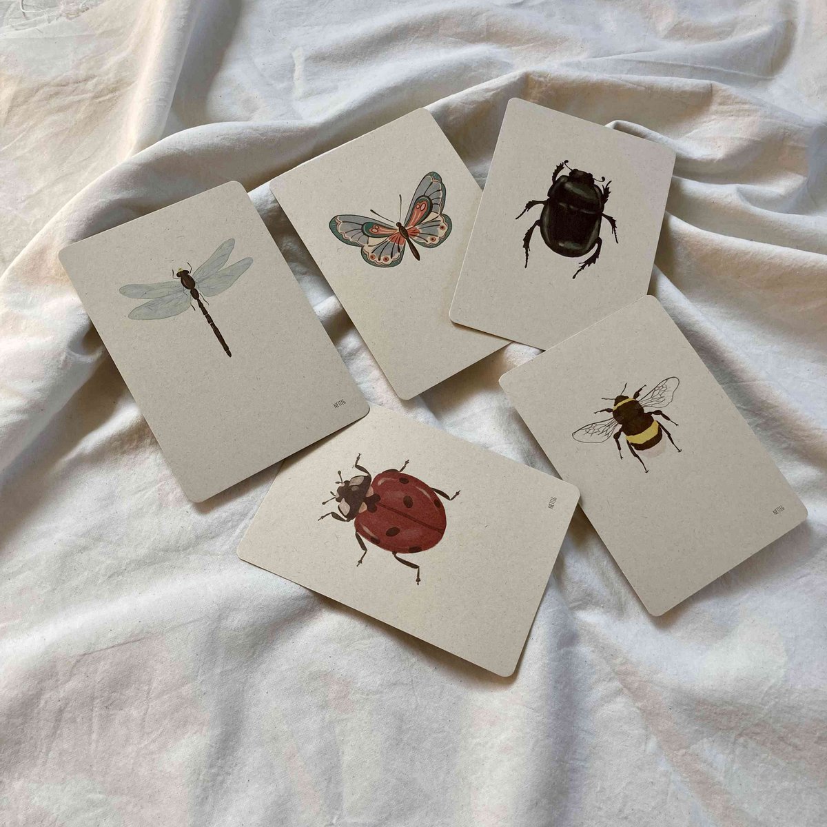 Kartenset Insekten