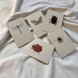 Kaartenset Insecten