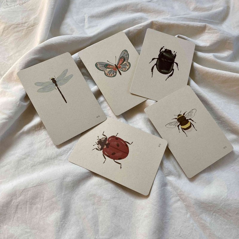 Kaartenset Insecten
