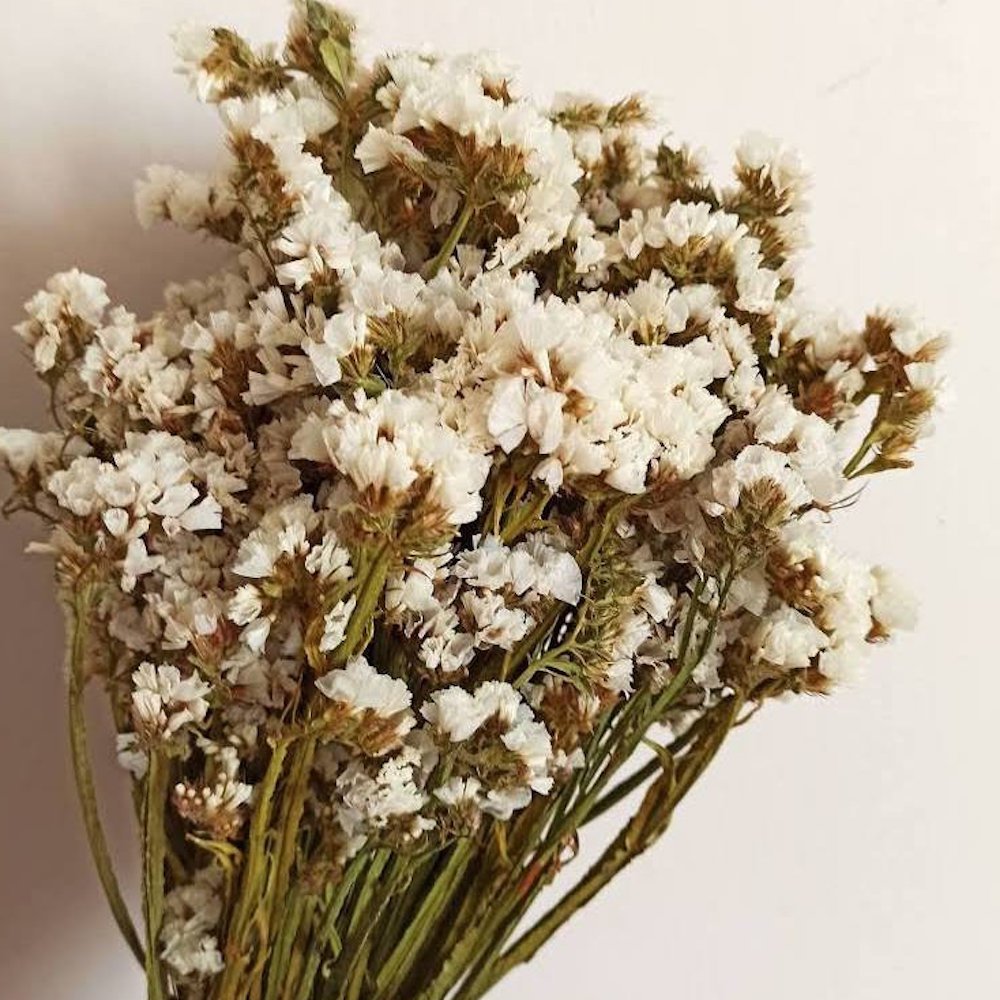 Blumenstrauß aus getrockneten Statice-Blüten