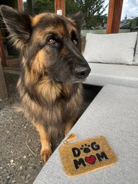 Håndlavet beaded Hunde Mom Pouch * Gave *