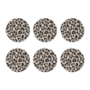 Coasters leopard