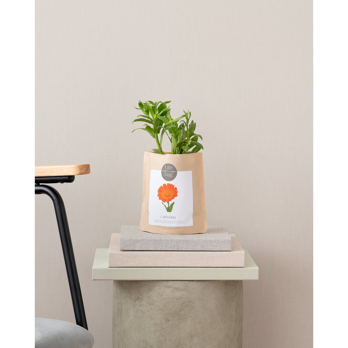 Bag Calendula wachsen