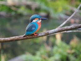 EUGY 3D Puzzel - IJsvogel