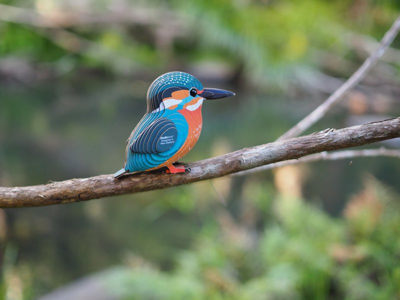 EUGY 3D Puzzel - IJsvogel