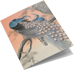 Grußkarten-Set Vogeldrucke