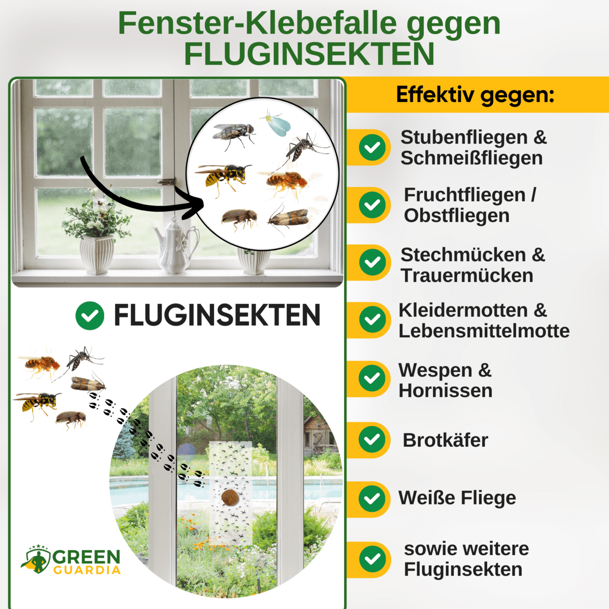Fluginsekten Fenster-Falle