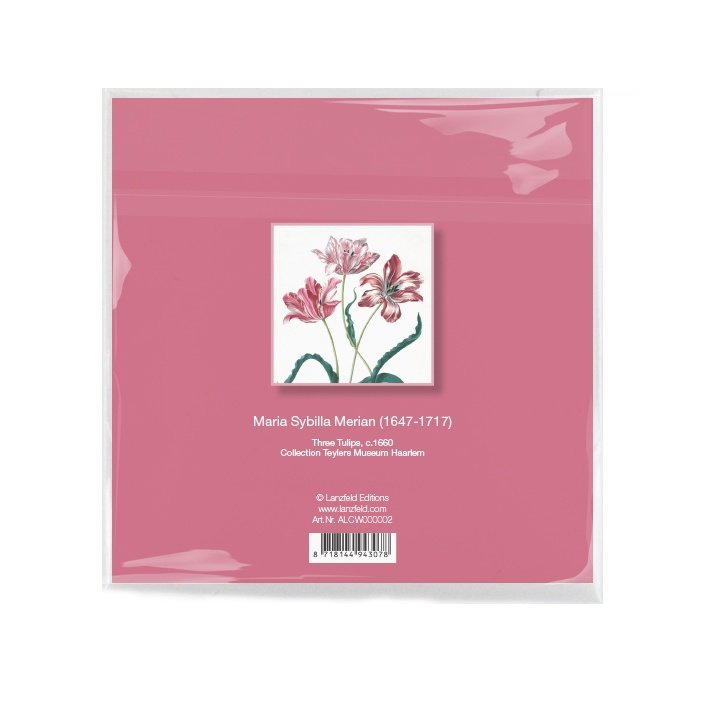 Chiffon pour objectif, 15 x 15 cm, Trois tulipes, Merian