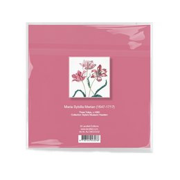 Chiffon pour objectif, 15 x 15 cm, Trois tulipes, Merian
