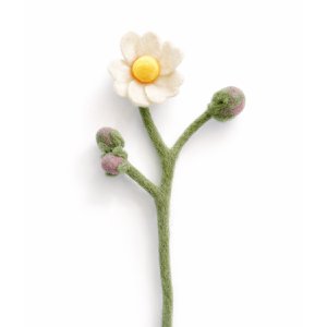 Anemone