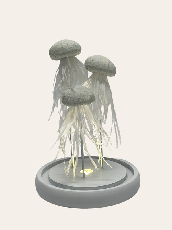 Witte Kwallen（YF-02-KWAL-WIT-LED）
