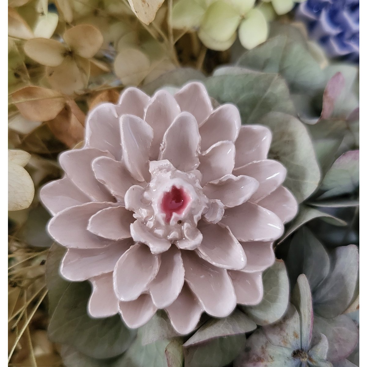 Dahlia white