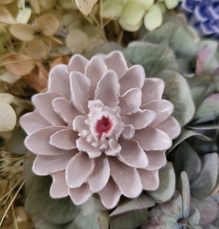 Dahlia white
