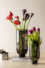 Vaso alto moderno e sobrio in vetro, forma cilindrica su base solida, grigio scuro, OMAHA18GR