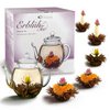 Creano Erblühtee-Geschenkset Schwarztee mit Glaskanne