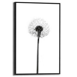 Maleri Slim Frame Mælkebøtte 30x20