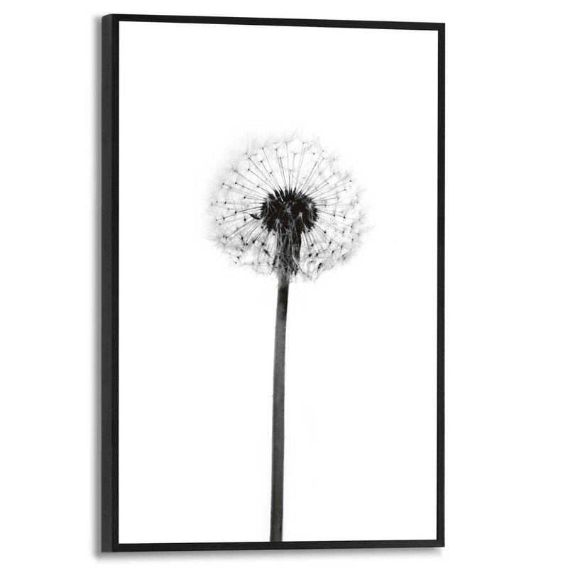 Maleri Slim Frame Mælkebøtte 30x20