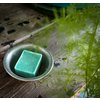 Green tea perfume block (packed in 10 pieces)