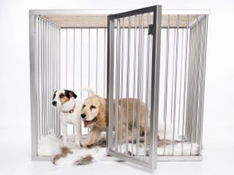 Hundeboks Line Edition EMMA Large