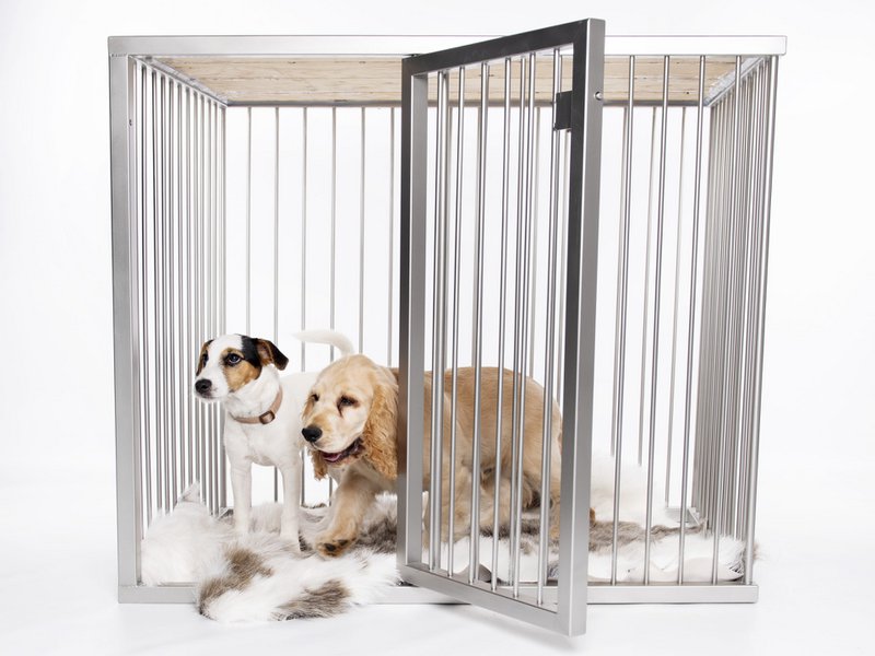 Hundeboks Line Edition EMMA Large