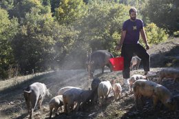 🇬🇧 Panceta de cerdo negro salvaje de Umbría - salami artesanal sazonado