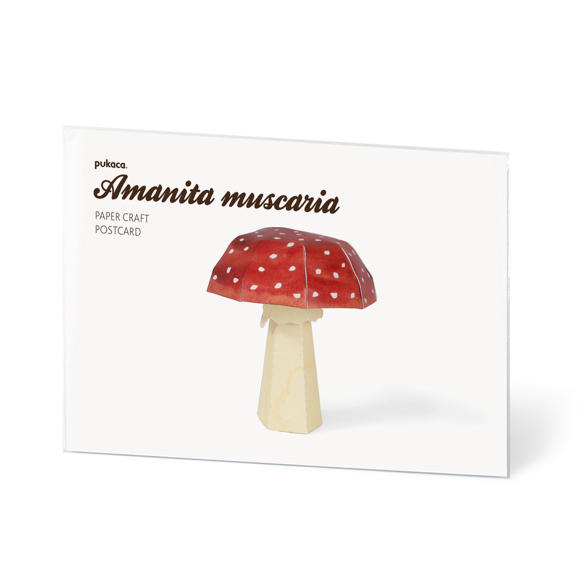 Pocztówka Amanita muscaria