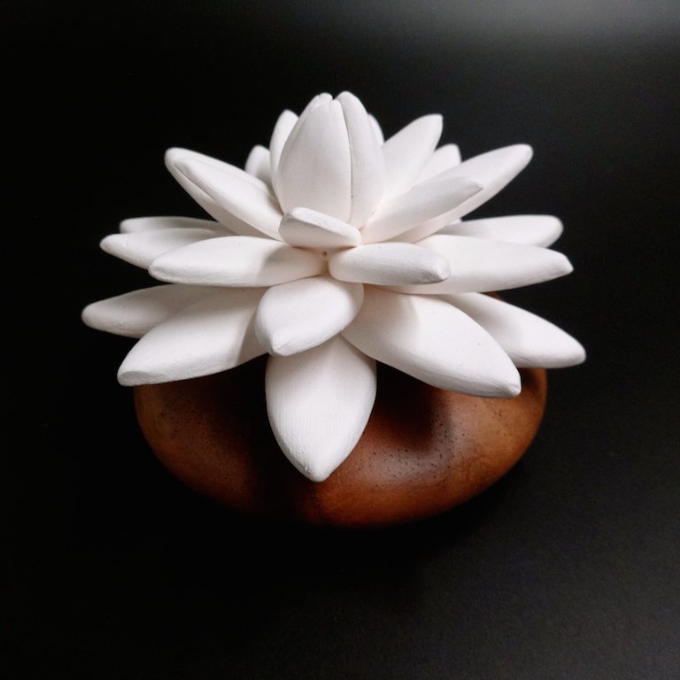 Indian Lotus fragrance diffuser