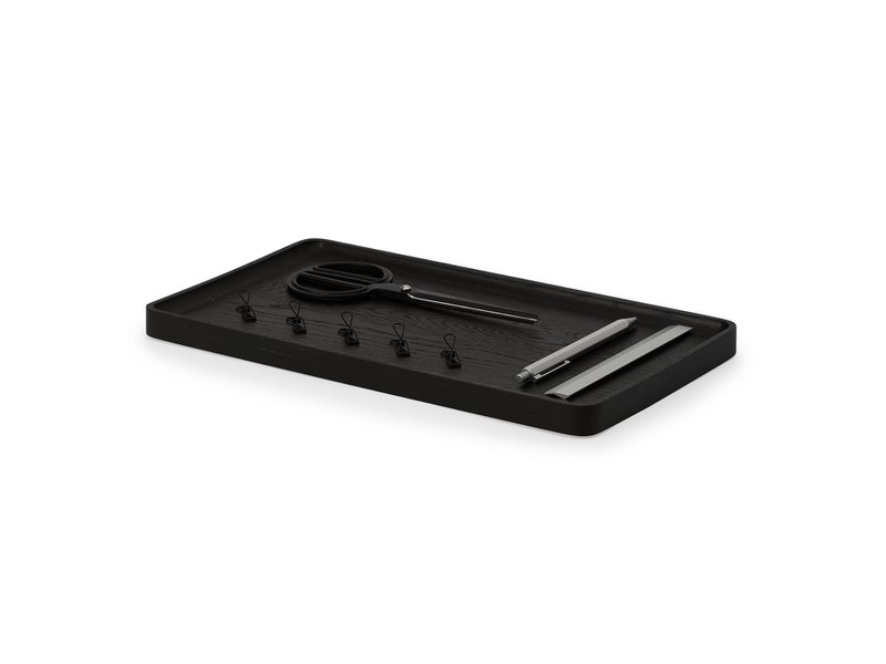 Catchall Tray