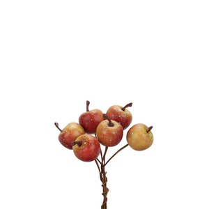 Appel Elstar op draad, D2cm, 48 stuks/doos, rood-g