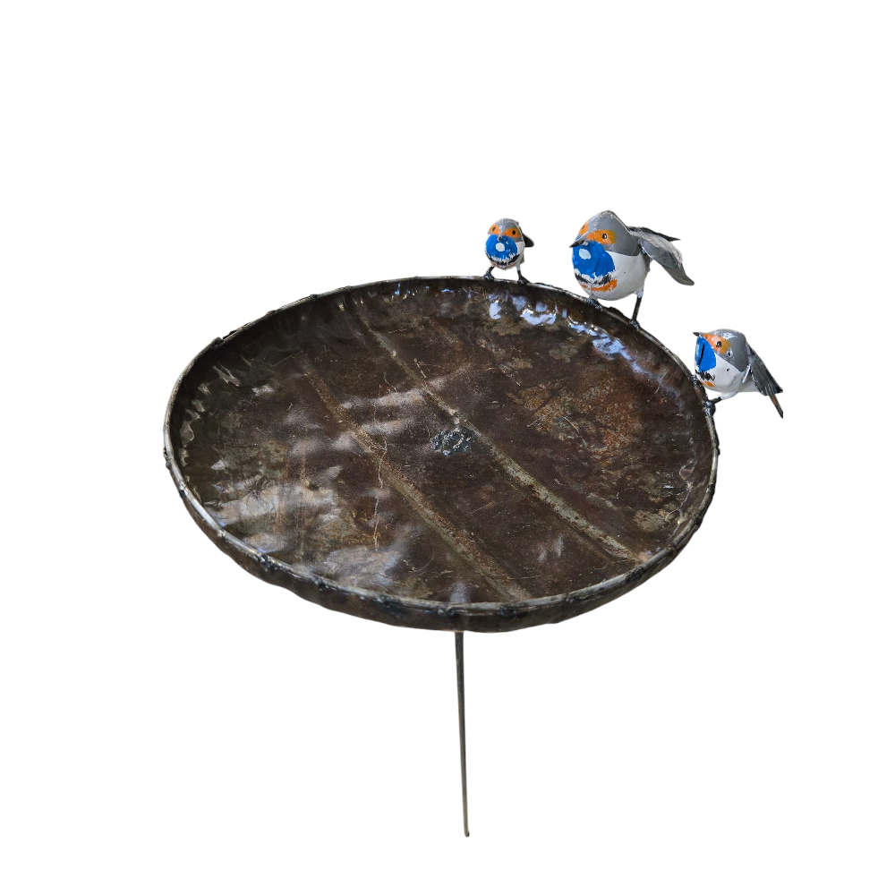 Métal grand bol de gorge bleue Birdfeeder sur bâton