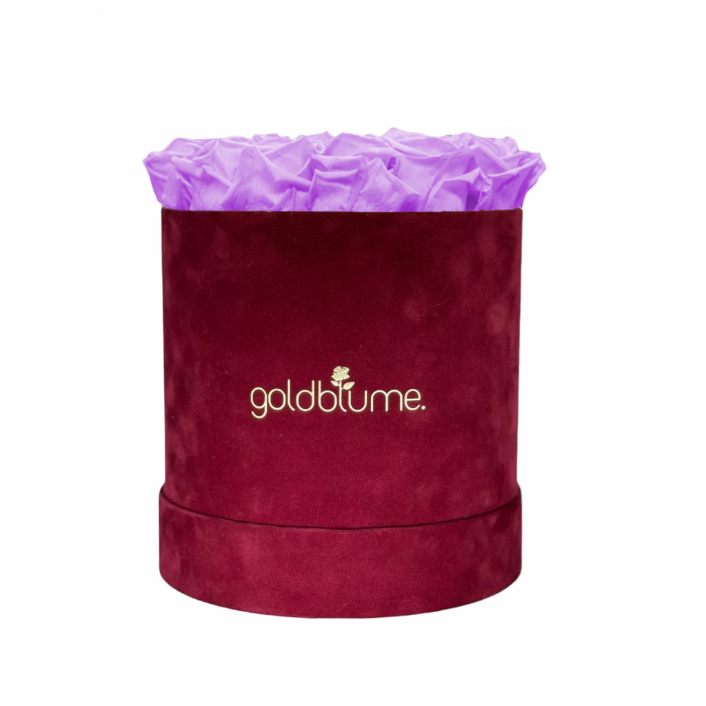 Collection Velours Bordeaux