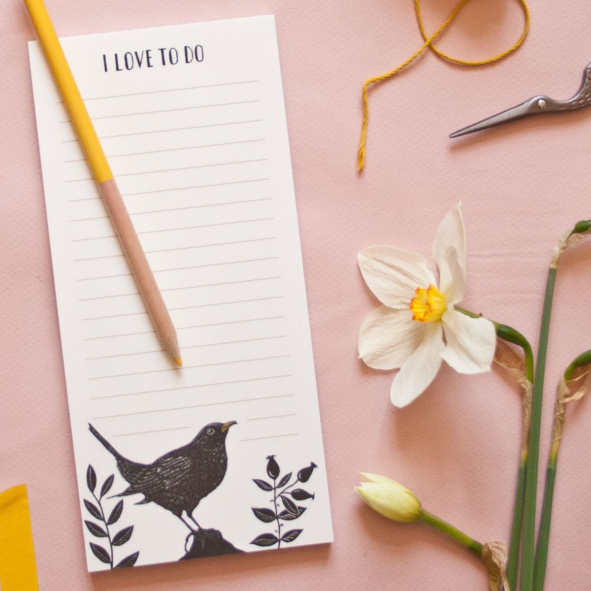 Notepad | blackbird